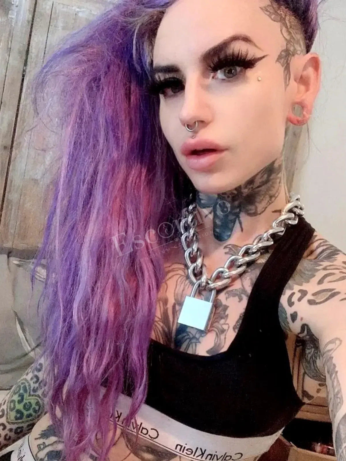 Tattooed Violet in Hamburg — photo 5