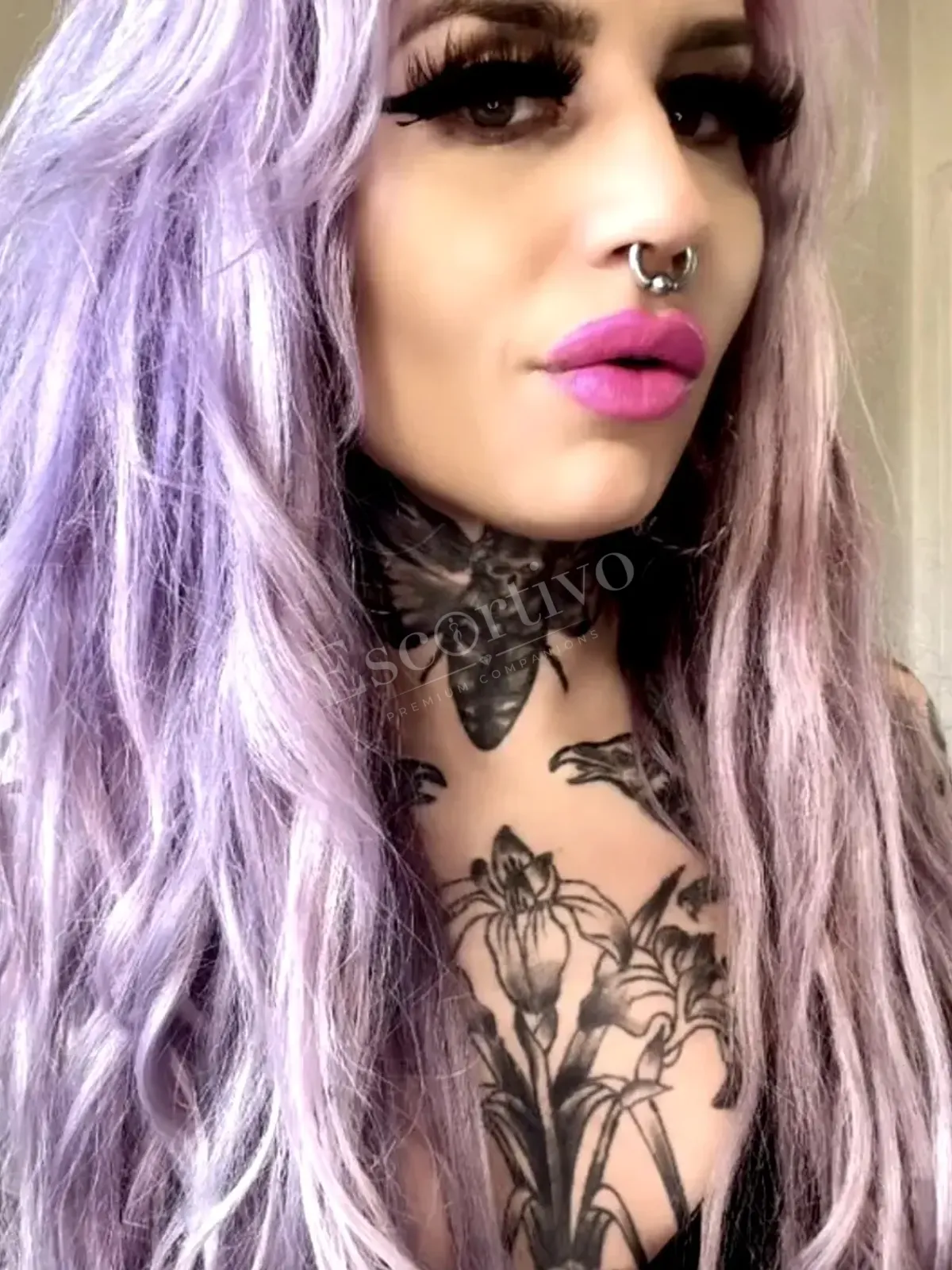 Tattooed Violet — escort in Hamburg